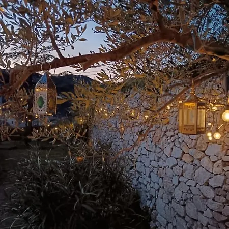 Manie Di Mare Bikers Friendly 公寓 菲纳莱利古雷