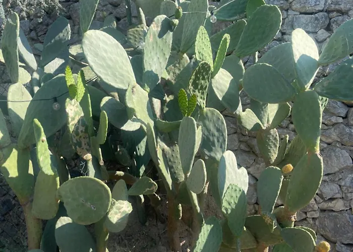 Appartement Manie Di Mare Bikers Friendly